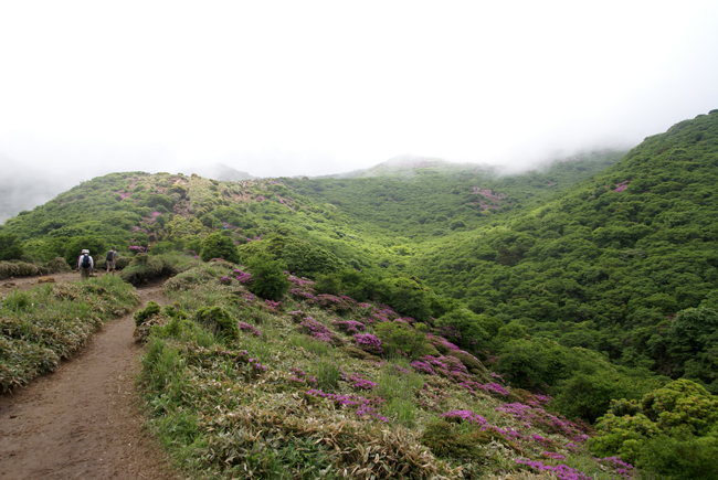 f0214649_21402834.jpg