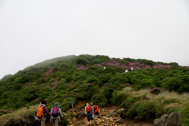 f0214649_21475350.jpg
