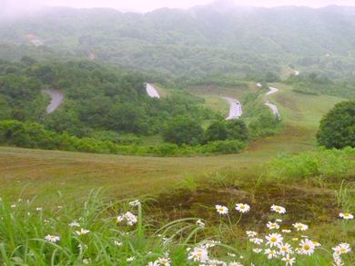b0220251_13341181.jpg