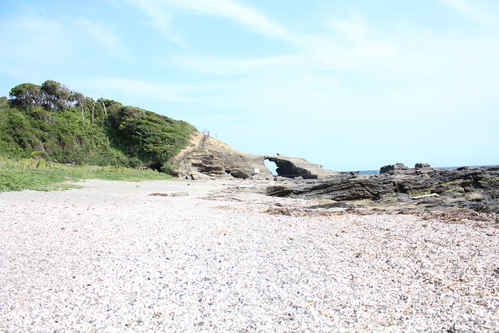 e0255354_1751596.jpg