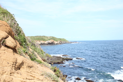 e0255354_1823183.jpg