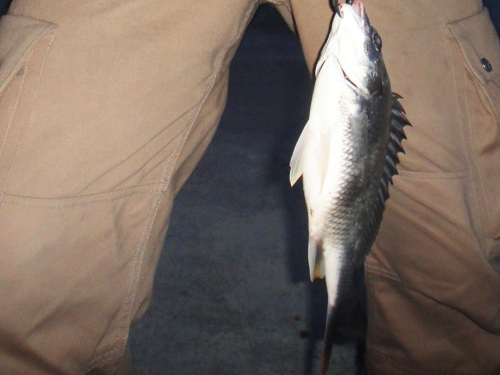 e0247157_11376100.jpg