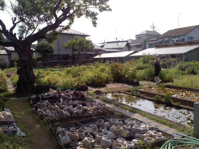 a0132059_17573726.jpg