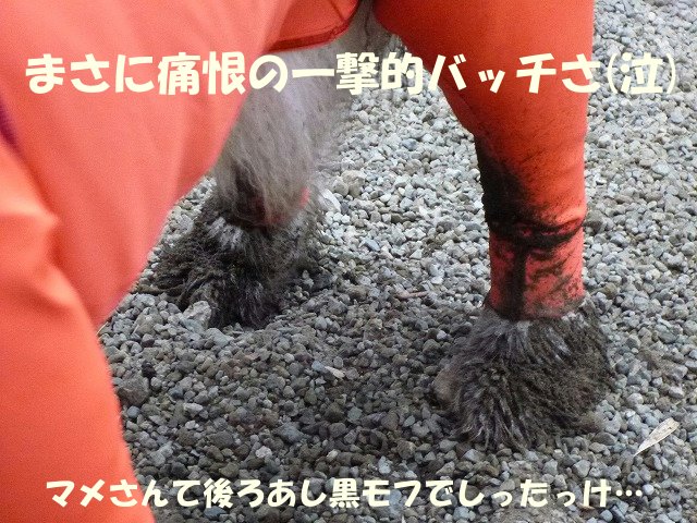 e0176159_10594884.jpg