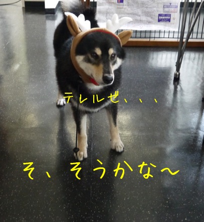 f0177261_23112770.jpg