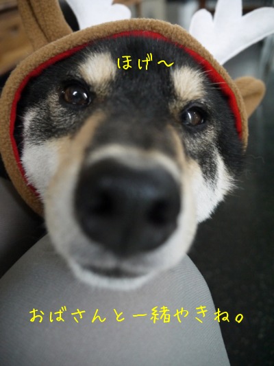 f0177261_23121559.jpg
