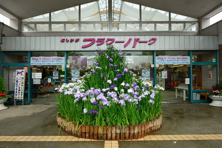 f0222161_2213298.jpg