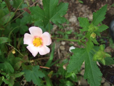 e0225164_720286.jpg