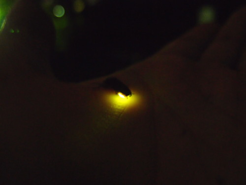 c0122670_2243070.jpg