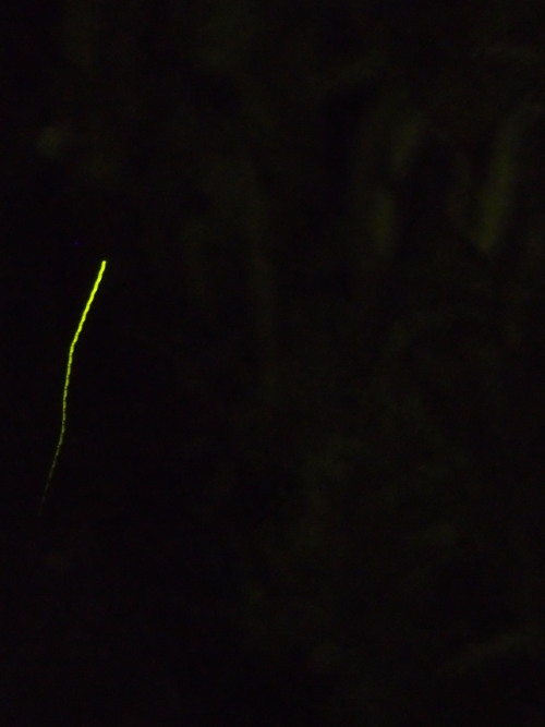 c0122670_22431463.jpg