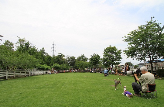 e0062371_203686.jpg