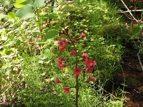 c0022275_14531880.jpg