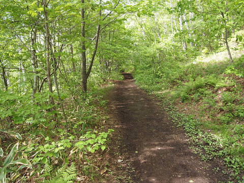 c0022275_1454428.jpg