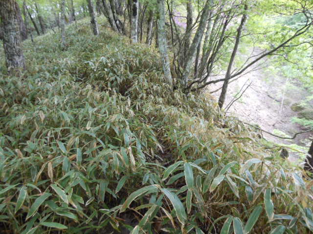 c0206177_19172334.jpg