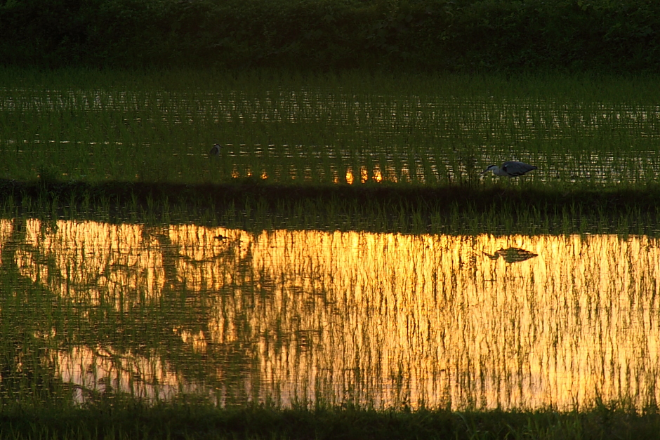 e0249878_02169.jpg