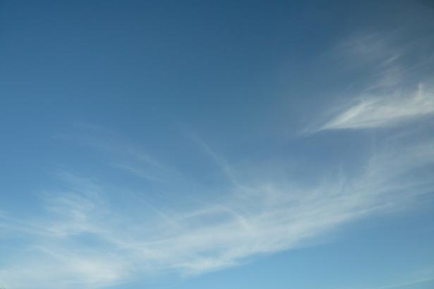 c0175679_2232436.jpg