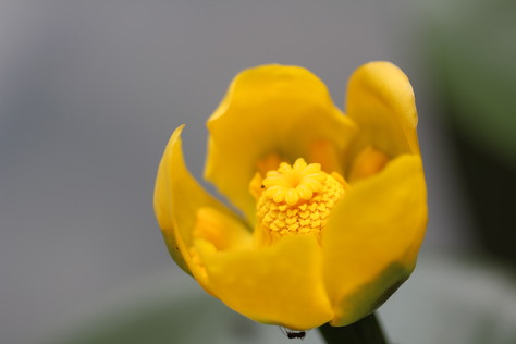 e0024081_21124875.jpg