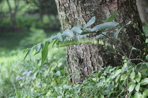 e0024081_2120289.jpg