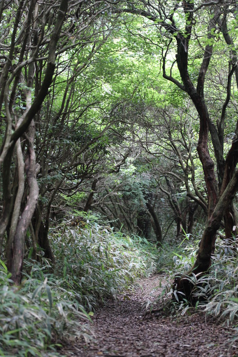 e0024081_21544961.jpg