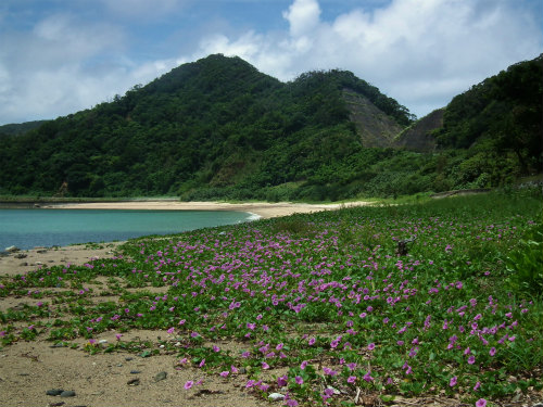 e0028387_163253.jpg
