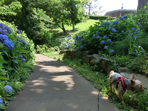 e0123587_1912190.jpg