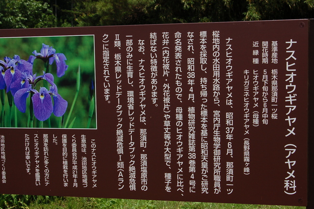 b0203588_141298.jpg