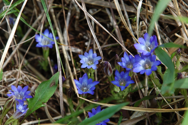 b0203588_1444264.jpg