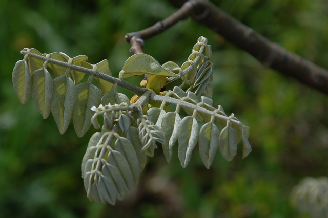 b0203588_1461364.jpg