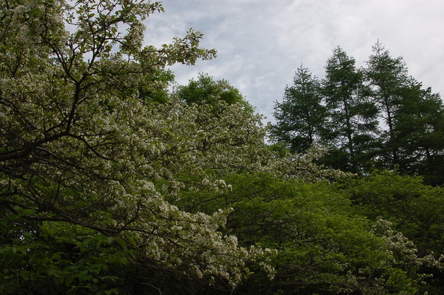 b0203588_1472940.jpg