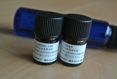 b0128589_16512088.jpg
