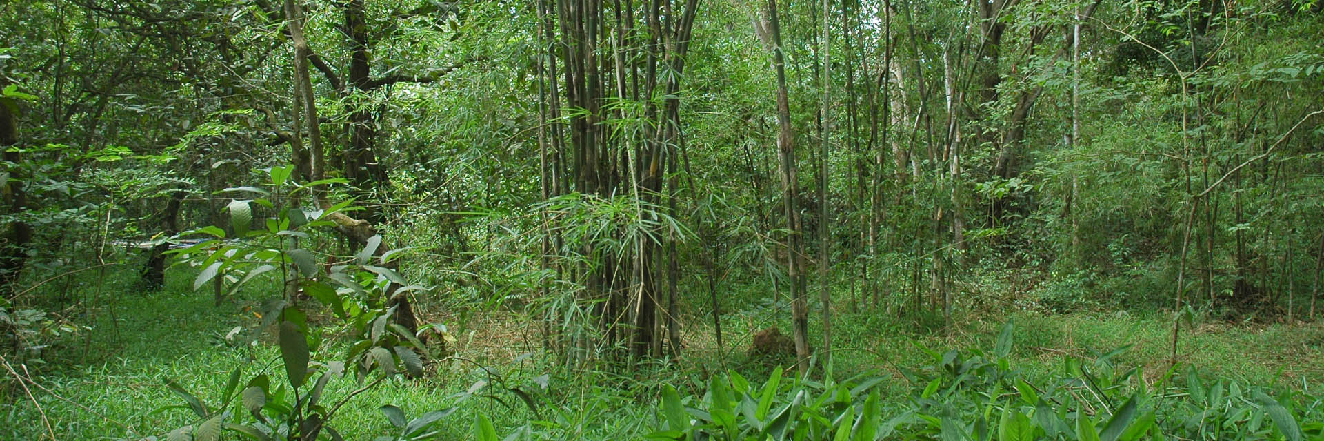 c0170789_1192814.jpg