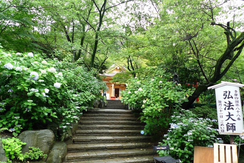 a0127090_21292767.jpg