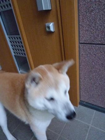 c0123890_20574210.jpg