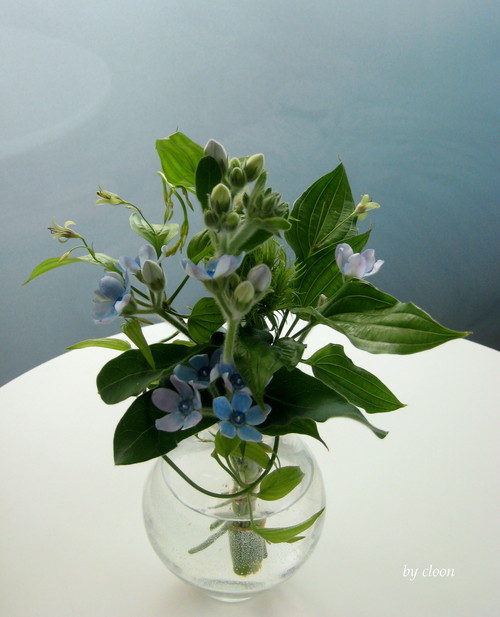e0210194_1610233.jpg