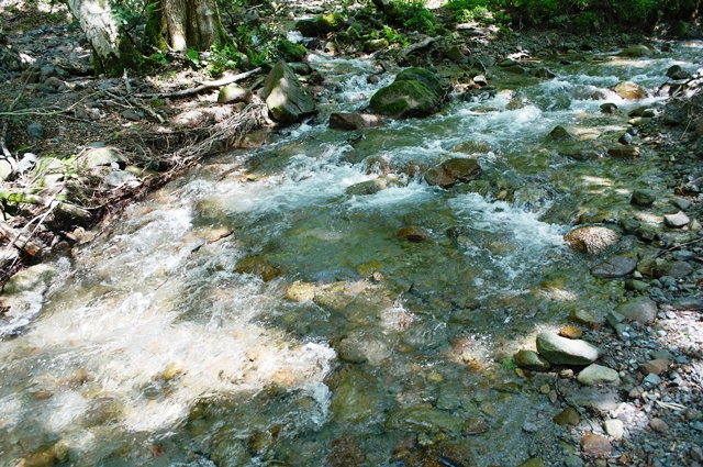 c0247096_19491780.jpg