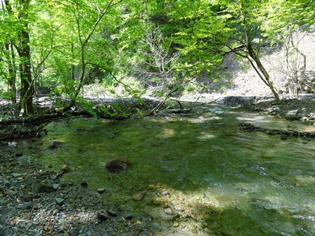 c0247096_204858.jpg