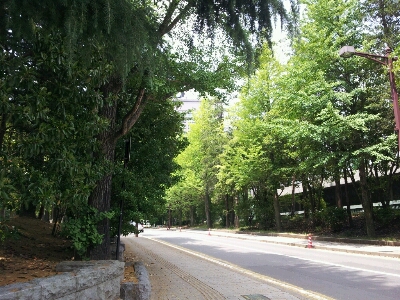 d0239796_1434129.jpg
