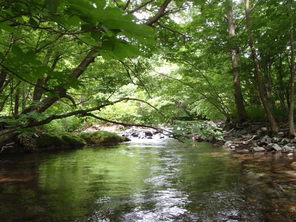 d0156298_2319590.jpg