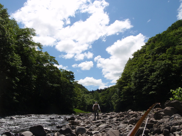 d0156298_2320428.jpg