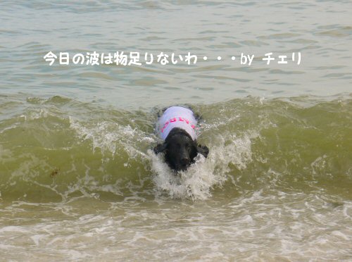 c0050400_2372312.jpg