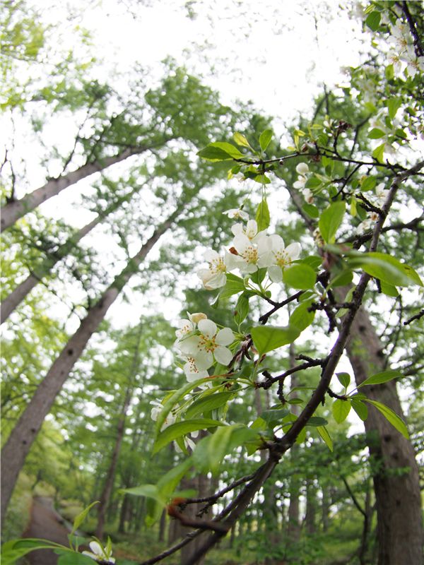 f0224100_23423917.jpg