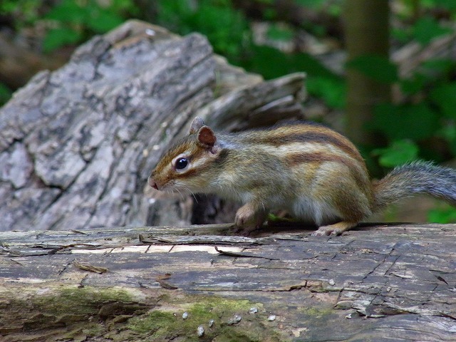 f0157901_2183199.jpg