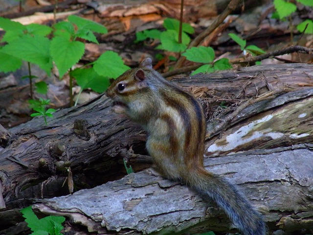 f0157901_219575.jpg