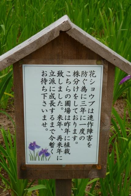 e0146907_21113168.jpg