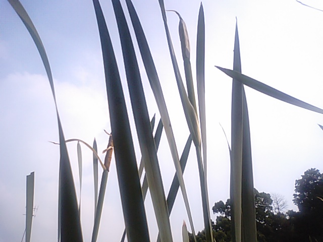 f0231709_18131565.jpg