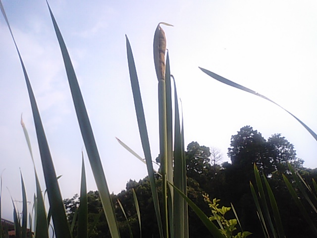 f0231709_18152936.jpg