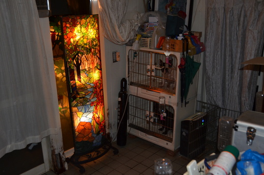 e0075412_224467.jpg