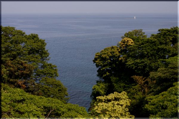 c0073016_2081764.jpg