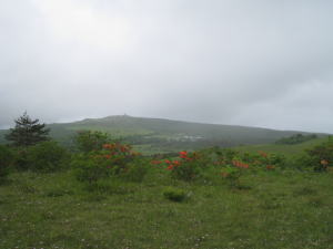 f0135222_1675645.jpg