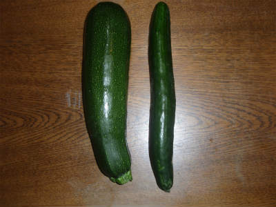 b0008825_23153360.jpg